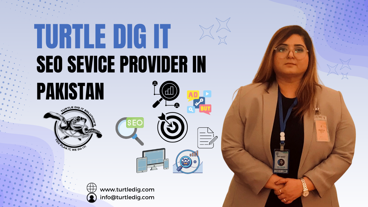 Turtle dig it solutions SEO Services Provider